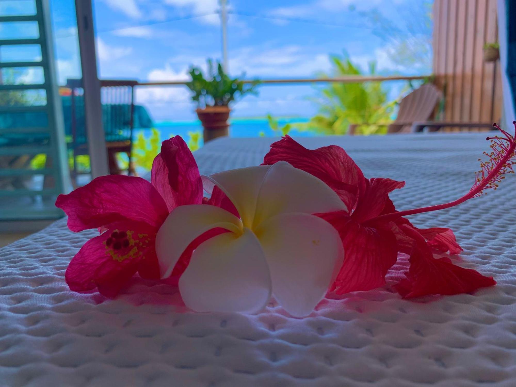 Blue Lagoon - Terrace View & Beach Access - Free Wifi Parking - Bora Bora Dream - Special Offer Luaran gambar
